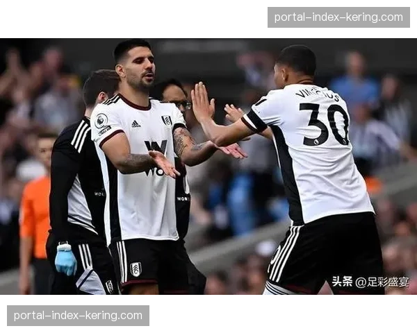 热刺伤病名单多达十人 斯宾塞乌多吉等关键球员缺阵 热刺伤病名单多达十人 斯宾塞乌多吉等关键球员缺阵